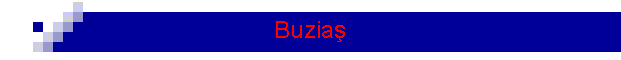 Buzia