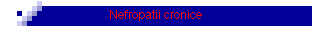 Nefropatii cronice